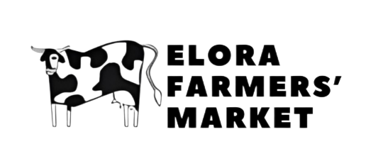Company Logo 11