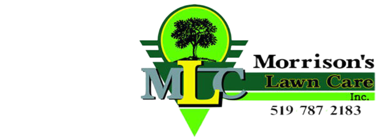 Company Logo 16